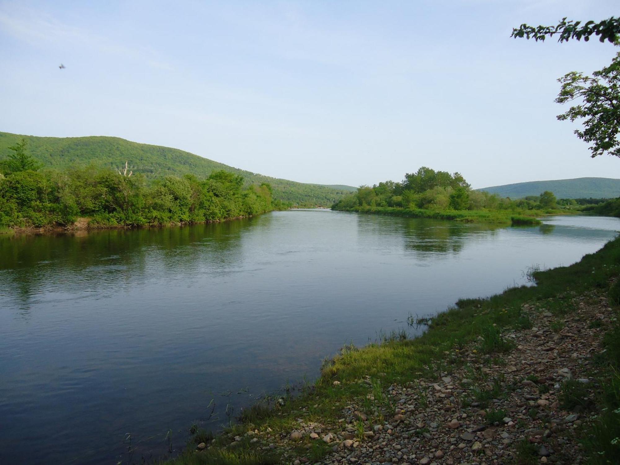 Cajun Cedar Log Cottages Margaree Forks Exteriér fotografie