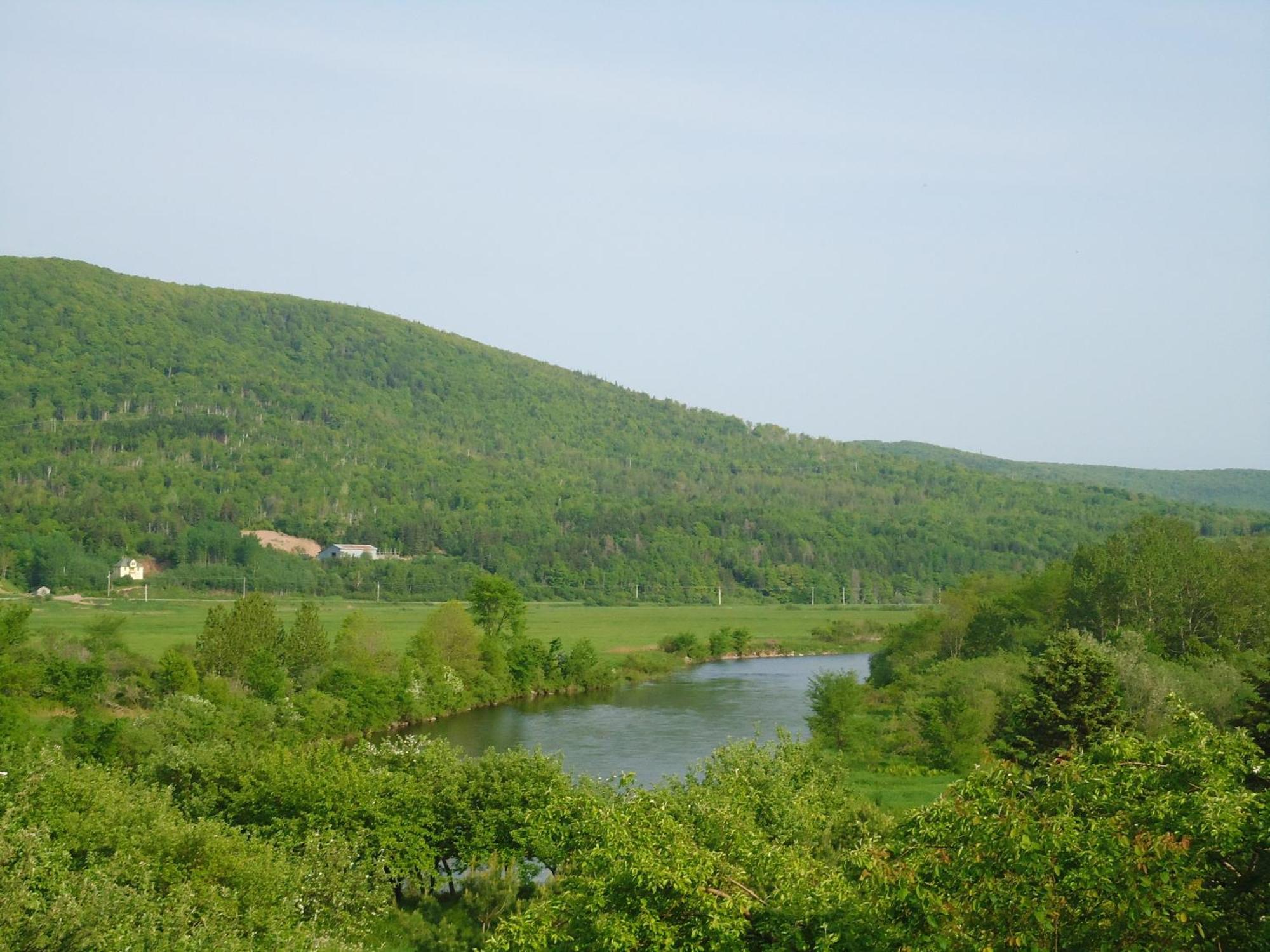 Cajun Cedar Log Cottages Margaree Forks Exteriér fotografie