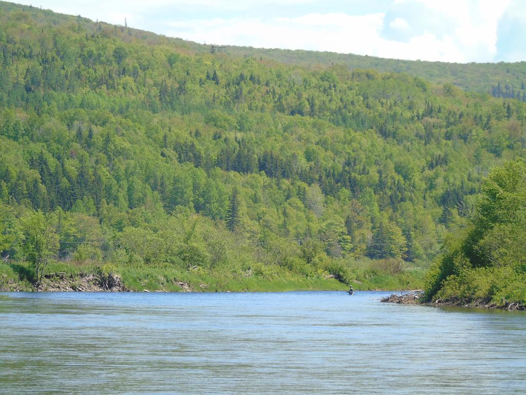 Cajun Cedar Log Cottages Margaree Forks Exteriér fotografie