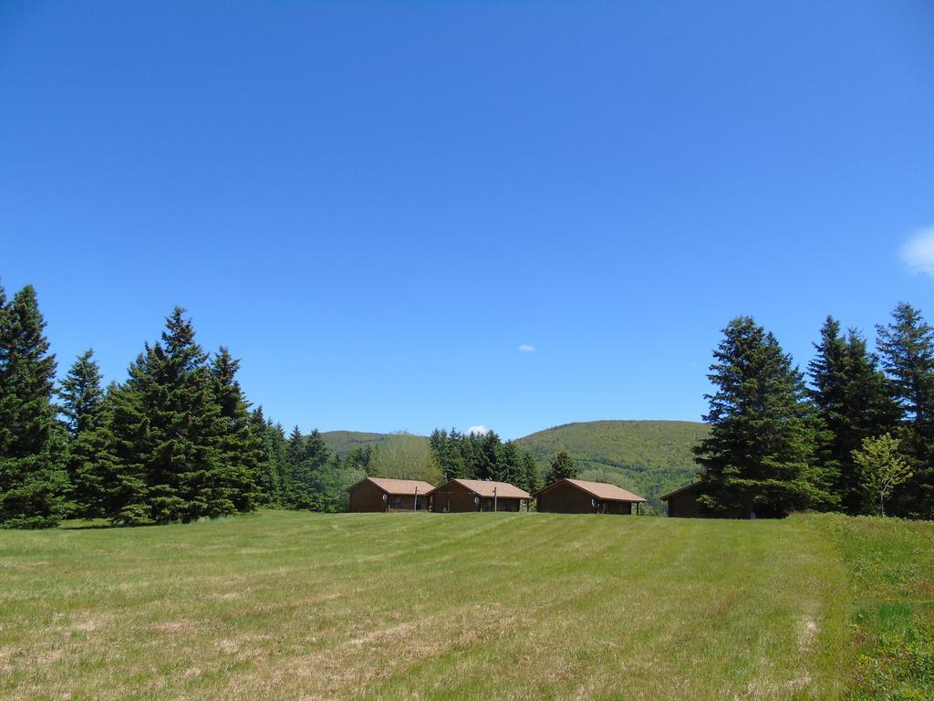 Cajun Cedar Log Cottages Margaree Forks Exteriér fotografie