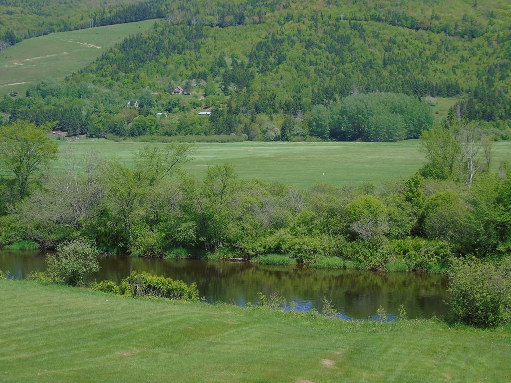 Cajun Cedar Log Cottages Margaree Forks Exteriér fotografie