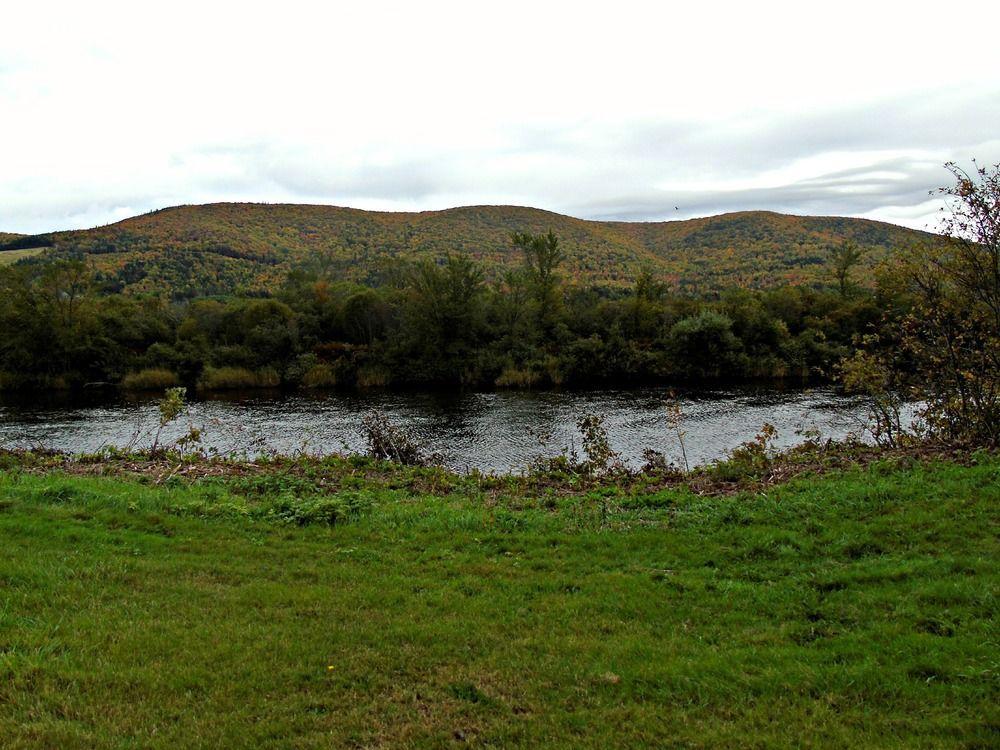 Cajun Cedar Log Cottages Margaree Forks Exteriér fotografie