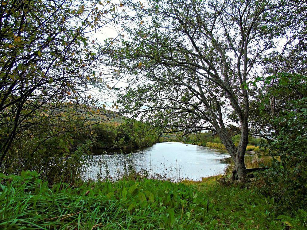 Cajun Cedar Log Cottages Margaree Forks Exteriér fotografie