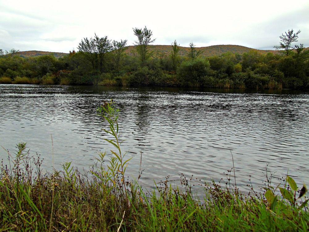 Cajun Cedar Log Cottages Margaree Forks Exteriér fotografie