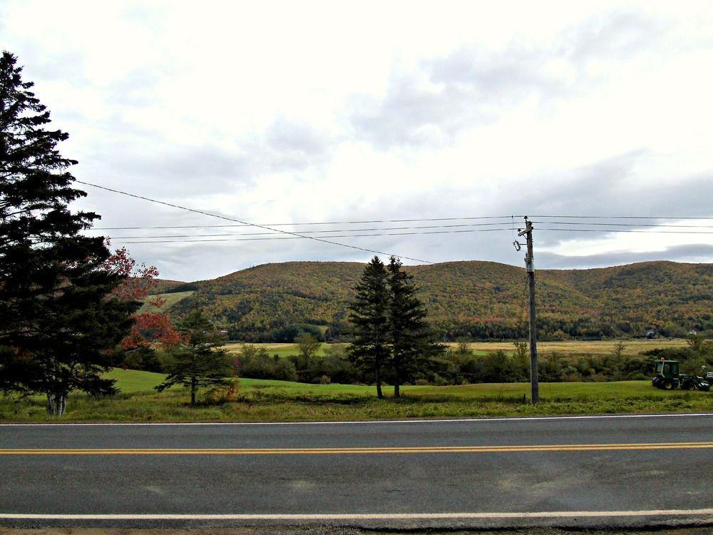 Cajun Cedar Log Cottages Margaree Forks Exteriér fotografie