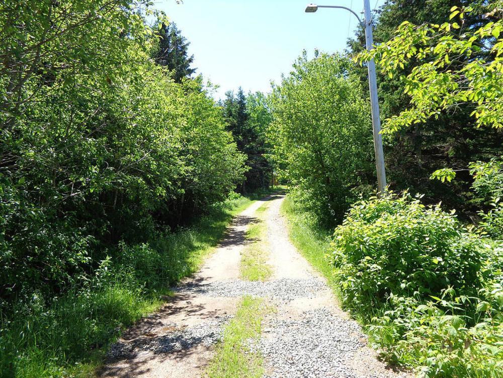 Cajun Cedar Log Cottages Margaree Forks Exteriér fotografie