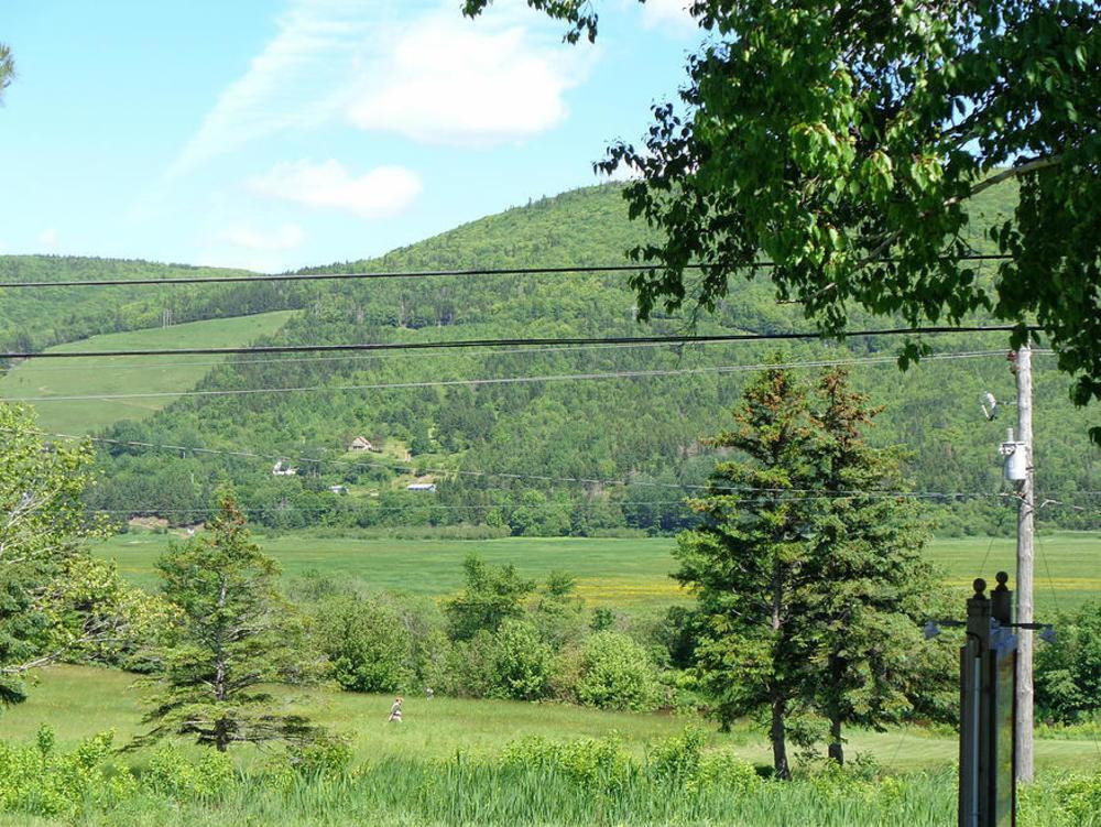 Cajun Cedar Log Cottages Margaree Forks Exteriér fotografie