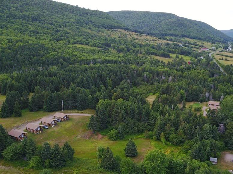 Cajun Cedar Log Cottages Margaree Forks Exteriér fotografie