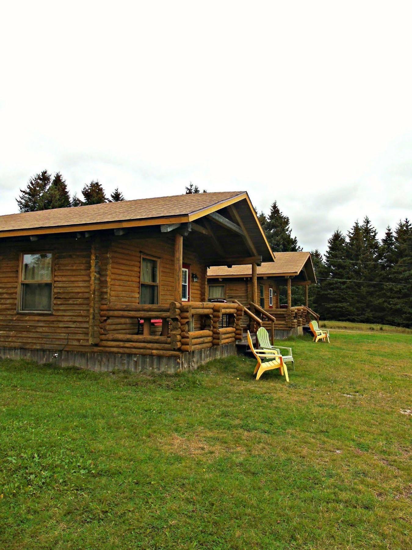 Cajun Cedar Log Cottages Margaree Forks Exteriér fotografie