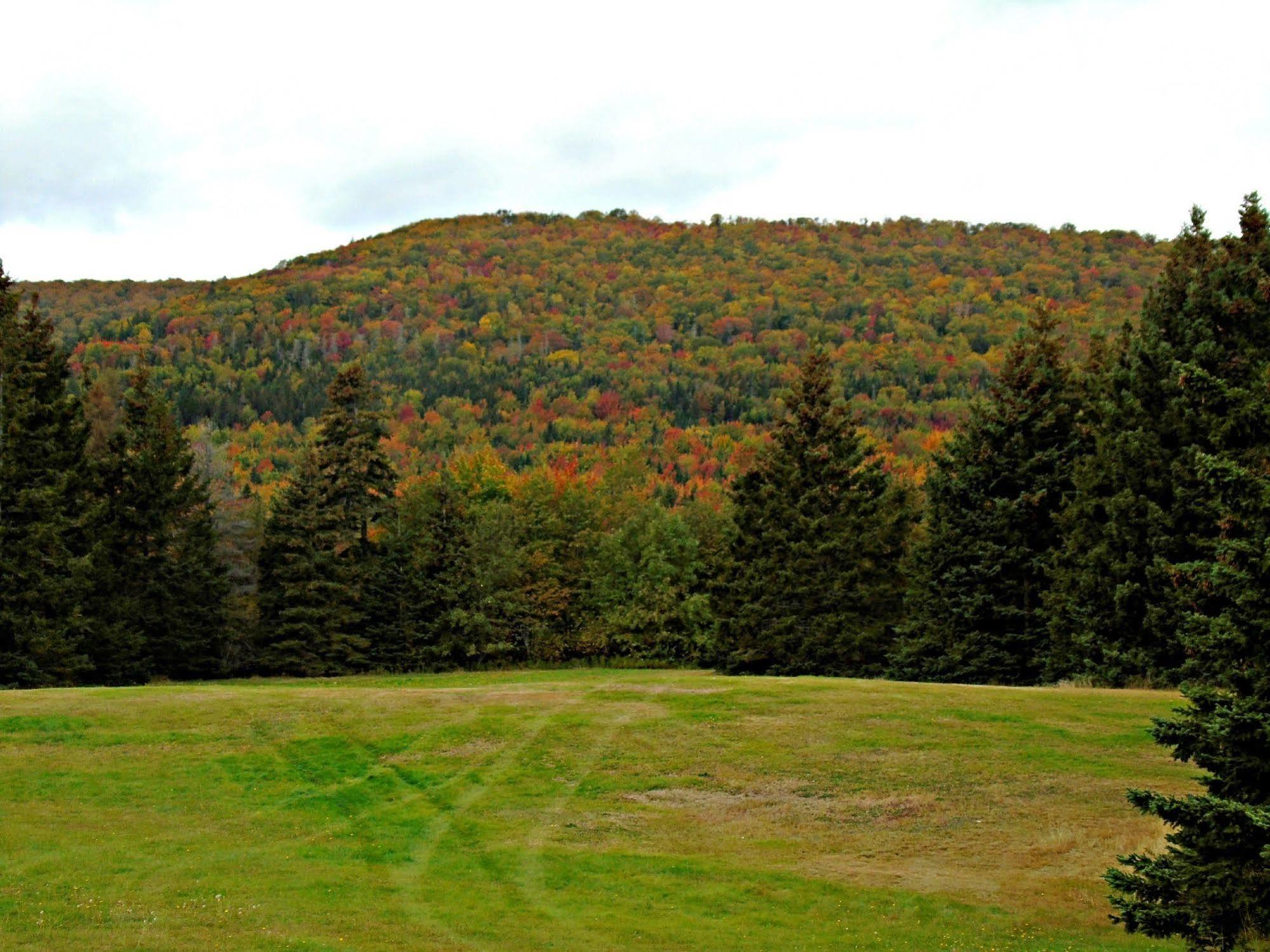 Cajun Cedar Log Cottages Margaree Forks Exteriér fotografie