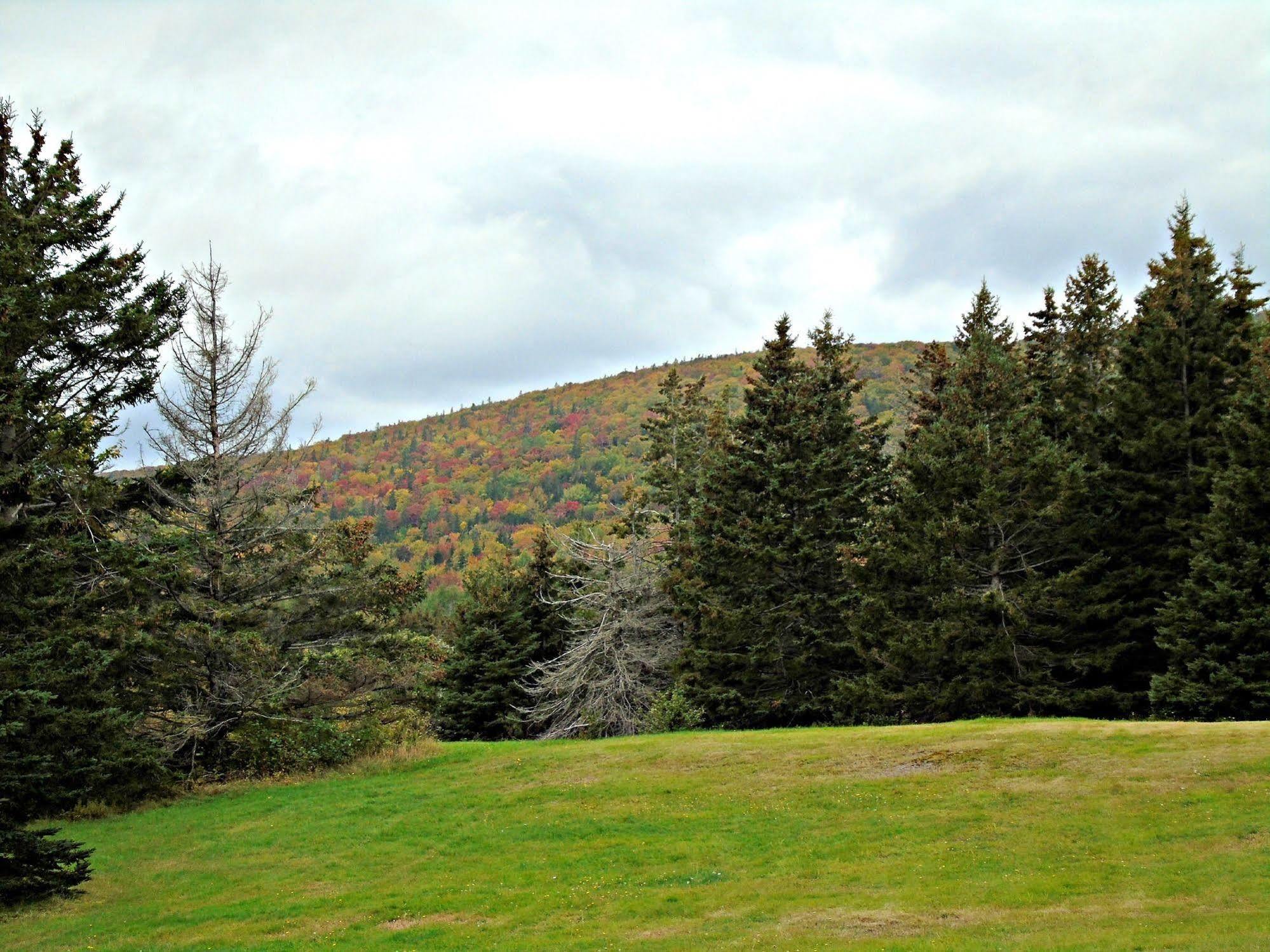 Cajun Cedar Log Cottages Margaree Forks Exteriér fotografie